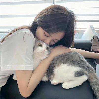 失控好莱坞