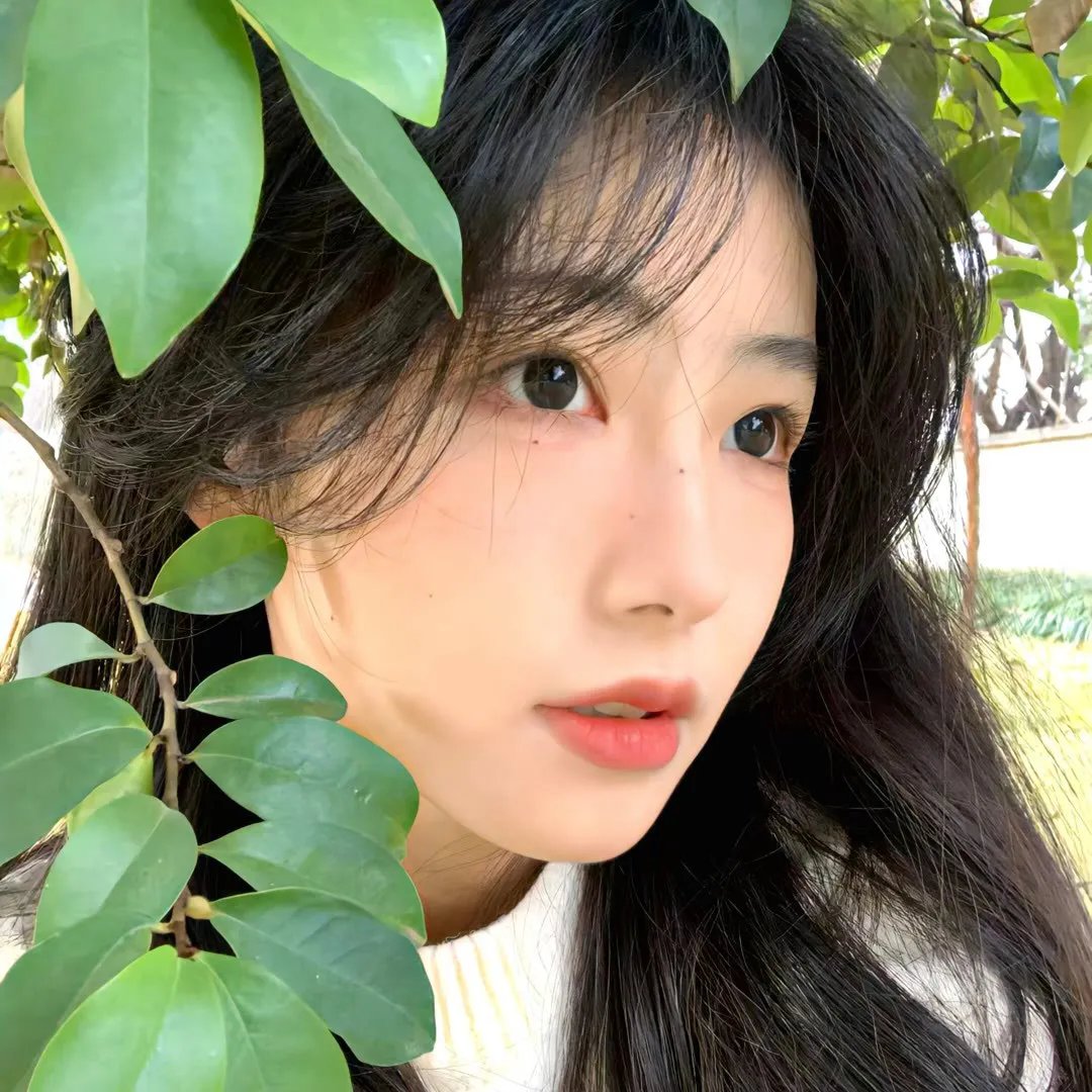 沉默的共谋者